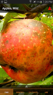 Belo screenshot image 3_Popularmodapk.com