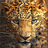 Wild Animals Puzzle Game1.0.9_Androidswiki.net