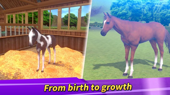 Derby Life : Horse racing screenshot image 2_Androidswiki.net