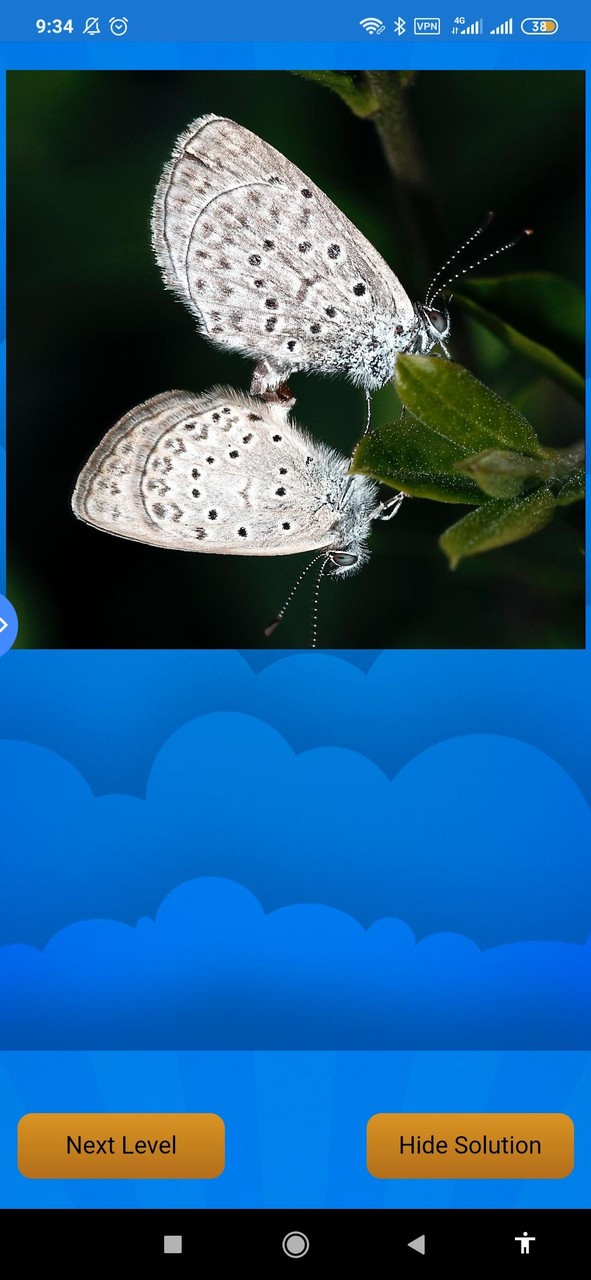 Butterfly Puzzle Game screenshot image 3_Androidswiki.net