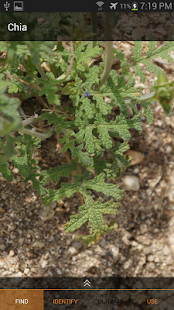 Belo screenshot image 2_Popularmodapk.com