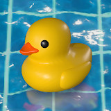 Placid Plastic Duck Simulator<span>(Free Download)</span>0.9.62_Androidswiki.net
