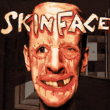 Skinface<span>(Free download)</span>1.0_Androidswiki.net