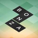 Bonza Word Puzzle4.6.8_Androidswiki.net