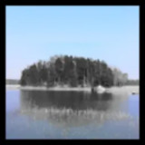 Otter Island<span>(Free download)</span>1.20.550-patreon_Androidswiki.net