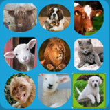 Animals of Our World3.3_Popularmodapk.com