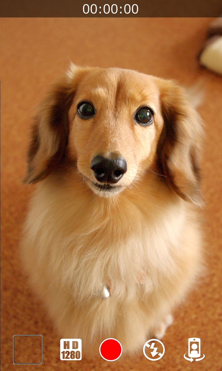 من سيربح المليون الناطقة screenshot image 8_Popularmodapk.com