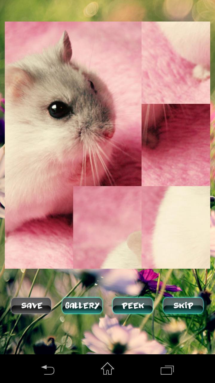 Hamster Pet Puzzles screenshot image 1_Androidswiki.net