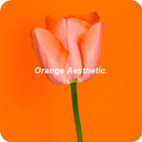 Orange Aesthetic Wallpaper5.0_Androidswiki.net