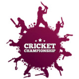 Cricket Stickers WAStickerApps2.0_Androidswiki.net
