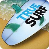 True Surf1.1.64_Androidswiki.net