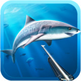 Hunter underwater spearfishing<span>(Unlimited Money)</span>3.26_Androidswiki.net