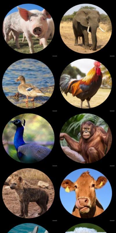 The Strongest parking(Trial Version) screenshot image 1_Androidswiki.net