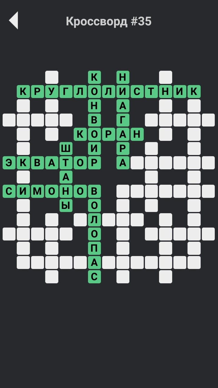 Кроссворды без интернета screenshot image 1_Androidswiki.net