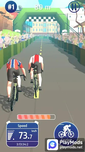 Cycling Legends: Team Manager<span>(No Ads)</span> screenshot image 2_Androidswiki.net