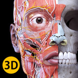 Anatomy 3D Atlas4.3.0_Androidswiki.net