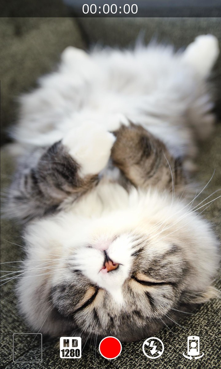 من سيربح المليون الناطقة screenshot image 2_Popularmodapk.com