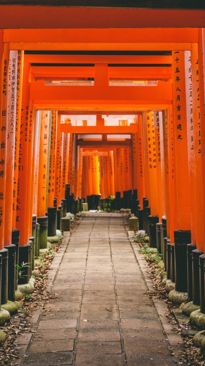 Fondos de Pantalla Zen screenshot image 2_Androidswiki.net