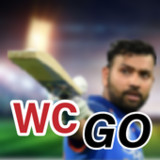World T20 Cricket Championship7_Androidswiki.net