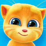 Talking Ginger<span>(Unlock all puzzles)</span>3.1.1.222_Androidswiki.net