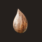 Mitoza<span>(No Ads)</span>0.60_Androidswiki.net