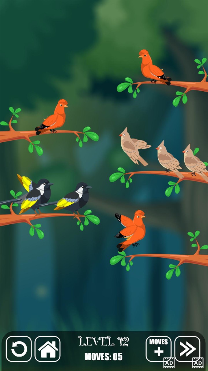 Bird Sorting Fun Puzzle Game screenshot image 4_Androidswiki.net