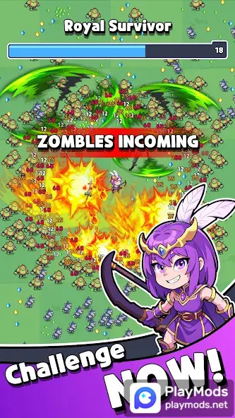 Royal Survivor<span>(MOD MENU)</span> screenshot image 1_Androidswiki.net