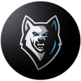 Fox VPN - Fast & Secure1.30_Androidswiki.net