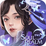 Soul Realm1.0.1_Androidswiki.net
