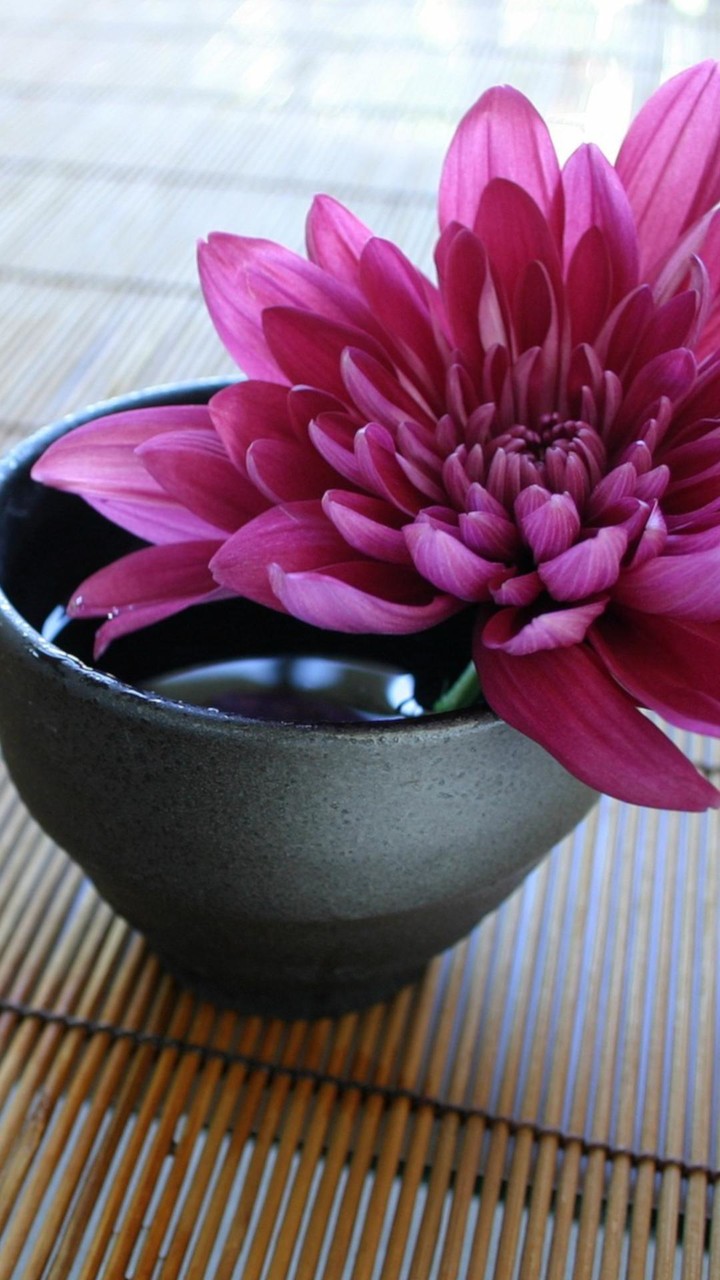 Fondos de Pantalla Zen screenshot image 4_Androidswiki.net