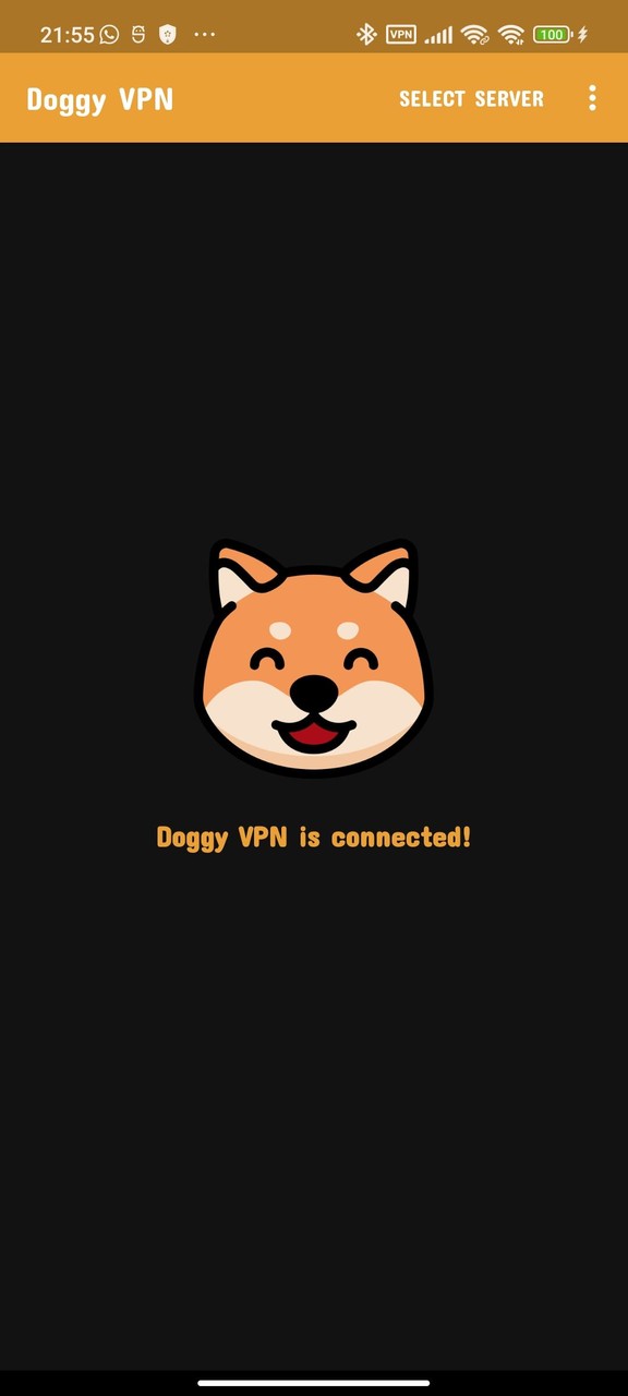 Doggy VPN screenshot image 10_Popularmodapk.com