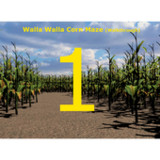 Walla Walla Corn Maze Year 10.3_Androidswiki.net