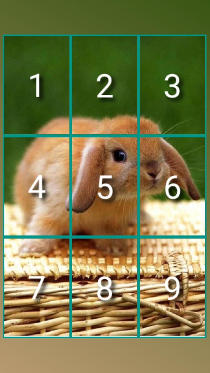 Ball Stacking screenshot image 2_Androidswiki.net