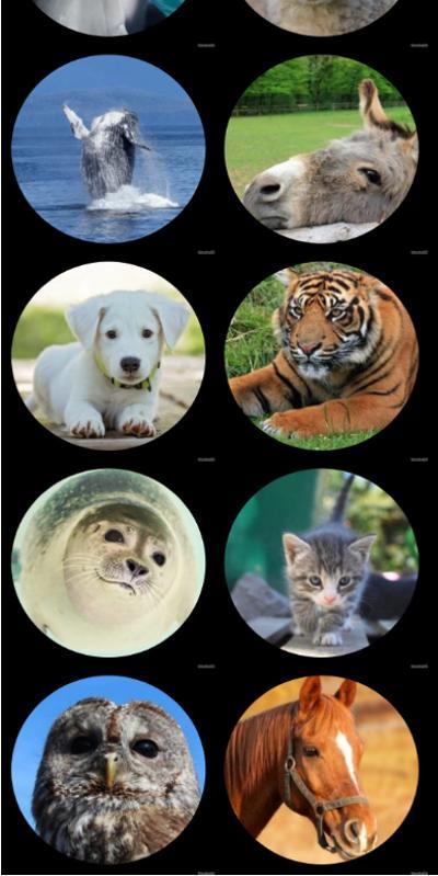 The Strongest parking(Trial Version) screenshot image 2_Androidswiki.net