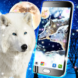 Wolf live wallpaper22.6_rowtechapk.com