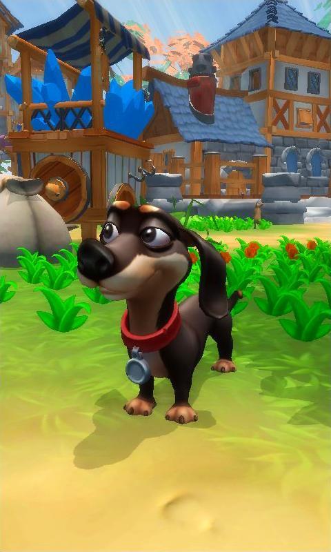 My Talking Dogs screenshot image 3_Androidswiki.net