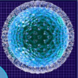 Cell Laboratory<span>(No Ads)</span>1.00.30-patreon_Androidswiki.net