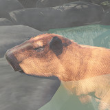 Capybara Zoo<span>(Free Shopping)</span>2.6.5_Androidswiki.net