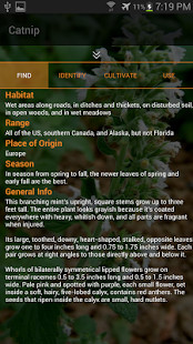 Belo screenshot image 1_Popularmodapk.com