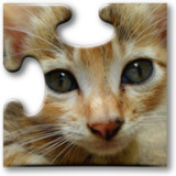 Cats Jigsaw Puzzles2023.09.15_Androidswiki.net