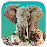 Ark Nova<span>(Unlock full content)</span>1.0.1_Androidswiki.net