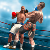 Real Boxing Fighting Game: GYM1.2_Androidswiki.net