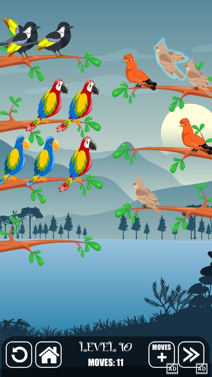 Bird Sorting Fun Puzzle Game screenshot image 3_Androidswiki.net
